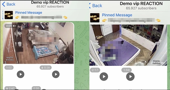 Redamp.io | Is Someone Watching You Through Your Security Camera?