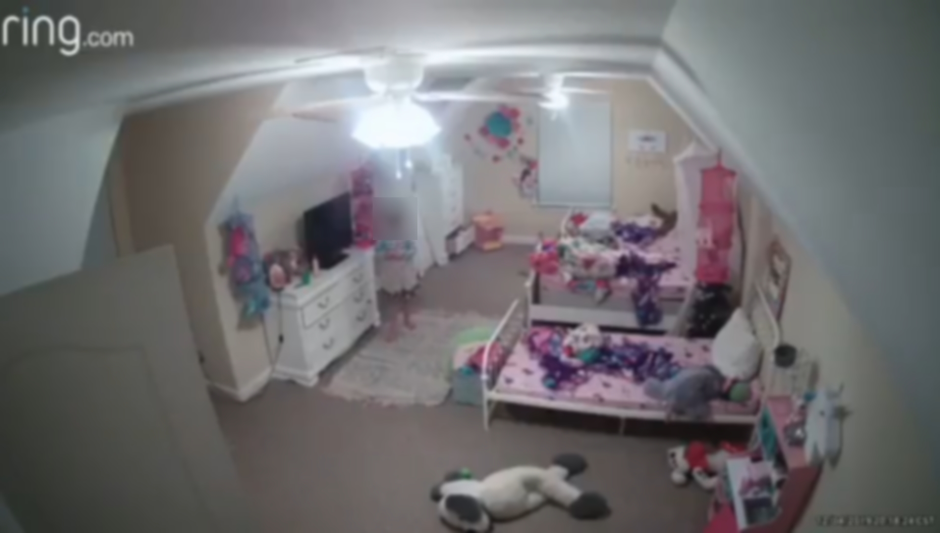 Redamp.io | Is Someone Watching You Through Your Security Camera?